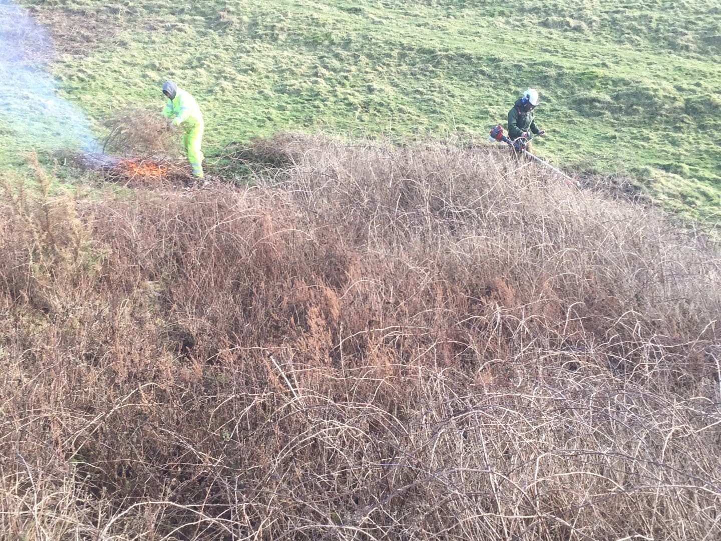 Two workers clearing dry hillside vegetation, with one using a brush cutter and a small fire burning nearby