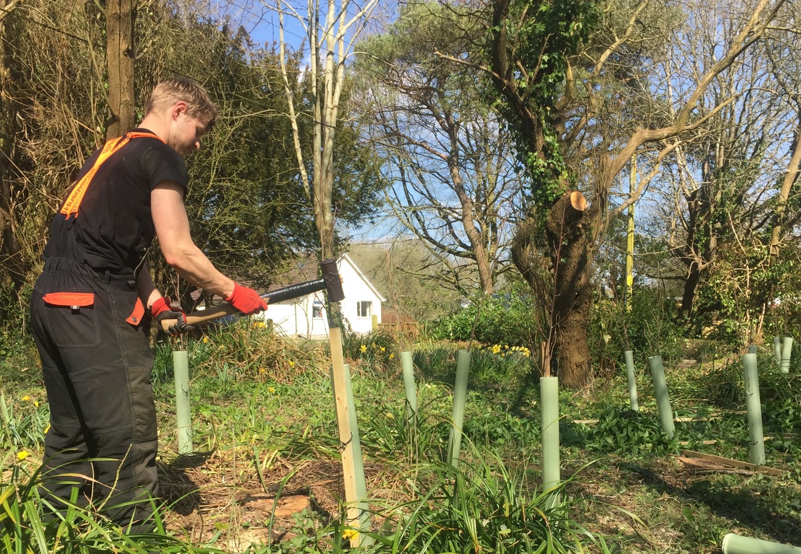 Tree planting advice Our team are trained, competent and experienced in the application of pesticides and herbicides. Waste materials are correctly disposed-of in accordance with the Green Code.