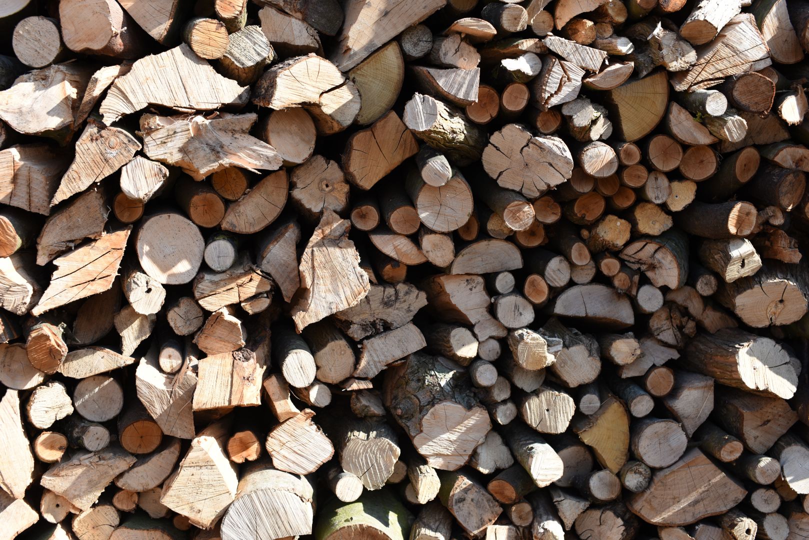 Unseasoned hardwood logs