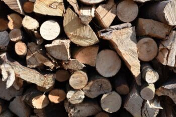 unseasoned mixed logs, unseasoned firewood, weymouth, portland, dorchester, unseasoned