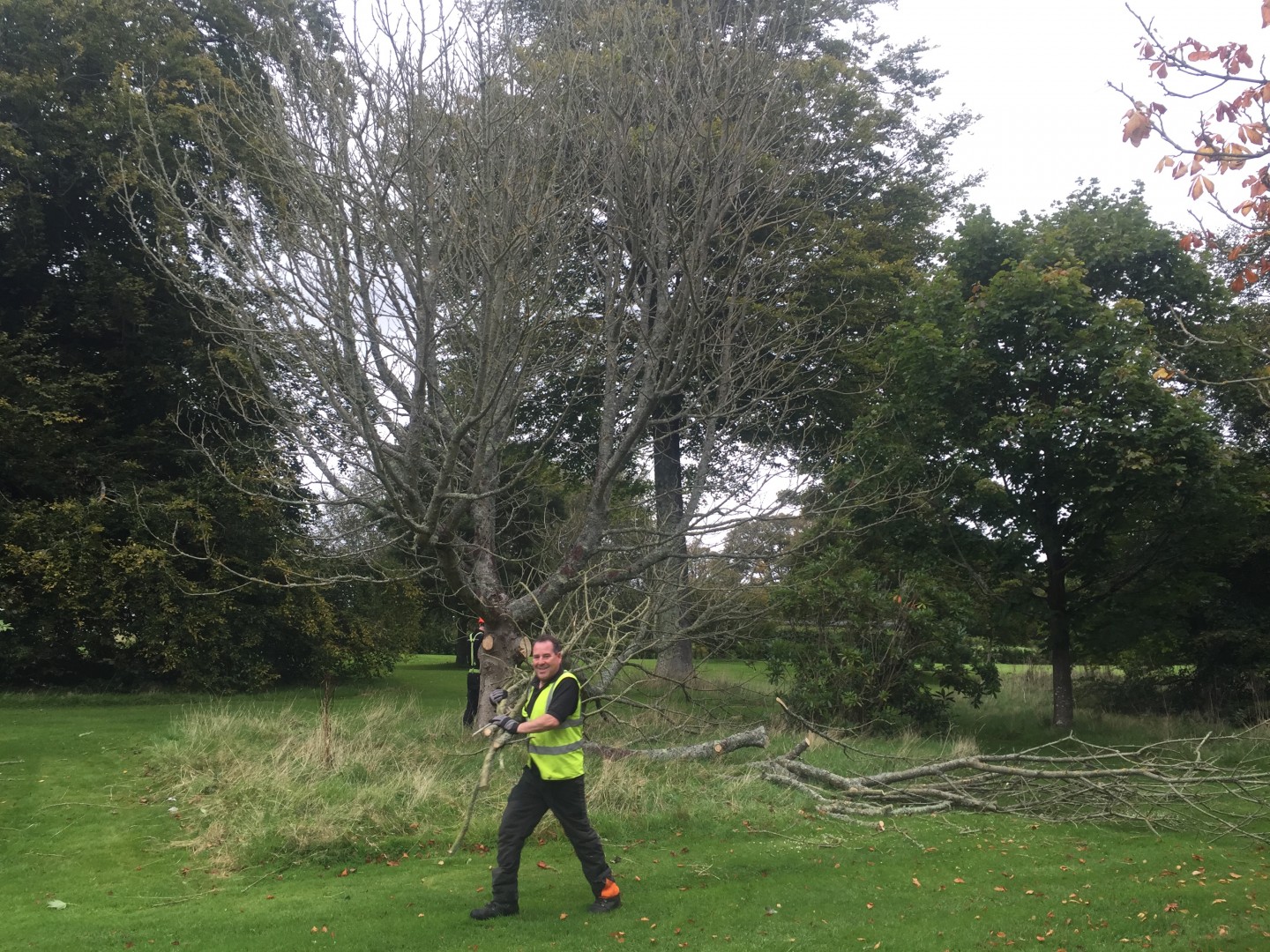 Horse chestnut Lulworth Castle House