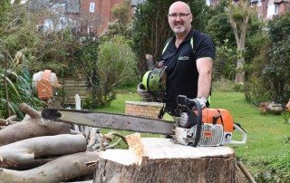 tree felling, tree felling Weymouth, tree felling Dorchester, tree felling PortlandTree surgeon Weymouth