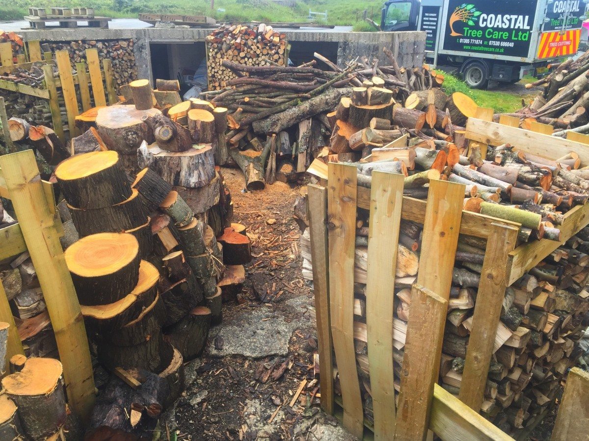 Firewood logs Coastal Tree Care
