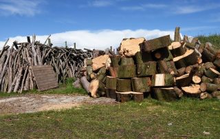 how to season firewood logs, tree waste, firewood, logs, Weymouth firewood, firewood Weymouth, logs Weymouth, Weymouth logs, seasoned logs Weymouth, seasoned firewood Weymouth