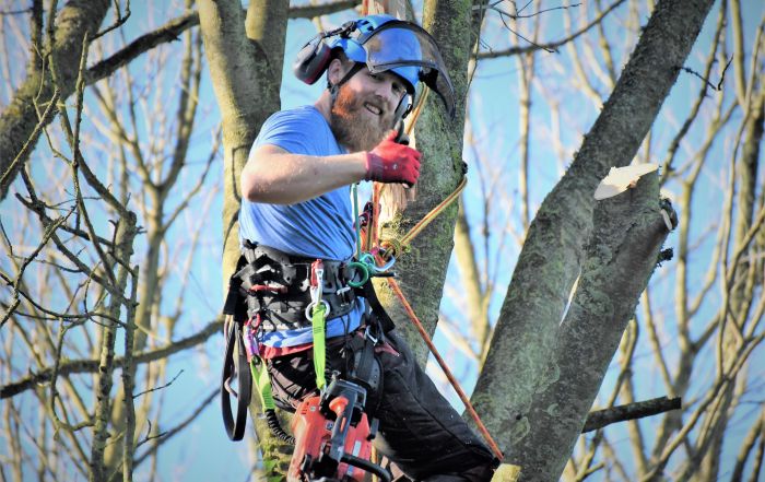 Weymouth tree surgery, emergency tree work, Weymouth tree surgeons, tree surgeons Weymouth, storm damage, clearing storm damage, arborist, climbing arborist, emergency tree work, tree safety work, wood chipper, recycling, waste recycling