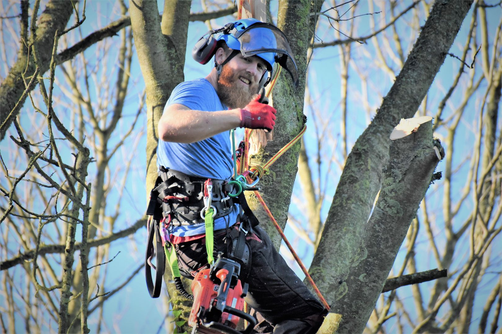 Weymouth tree surgery, emergency tree work, Weymouth tree surgeons, tree surgeons Weymouth, storm damage, clearing storm damage, arborist, climbing arborist, emergency tree work, tree safety work, wood chipper, recycling, waste recycling