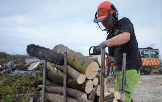 welcome to the wood yard, seasoned logs, logs, firewood, firewood logs, seasoned firewood logs, seasoned firewood, seasoned hardwood, seasoned mixed logs, seasoned softwood logs, log yard, log pile, log store, loading firewood, loading logs