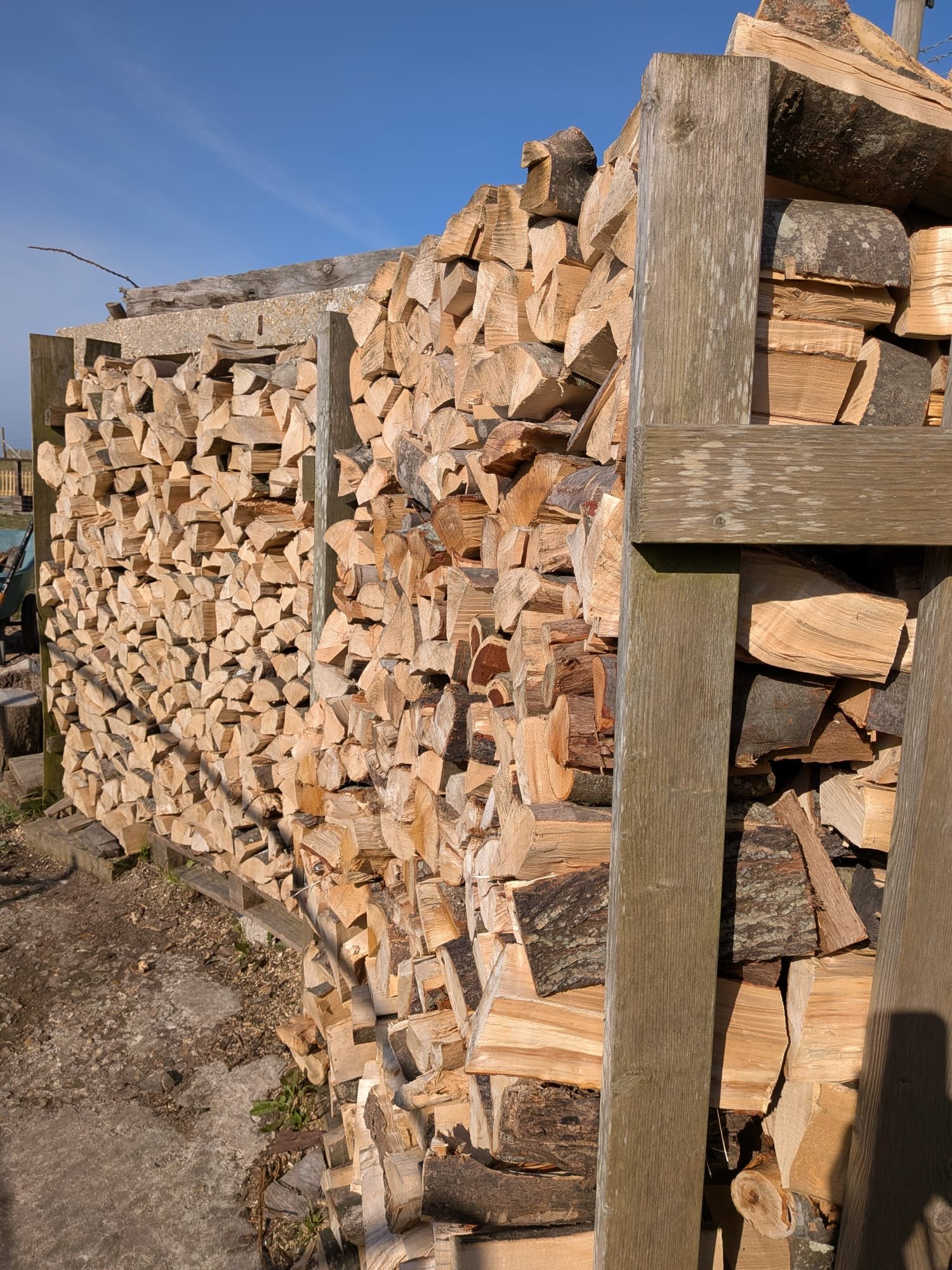 Stacked Firewood Logs – Coastal Tree Care Weymouth Split firewood logs stacked in a timber log store at Coastal Tree Care